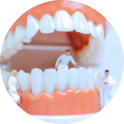 現在の歯の状態